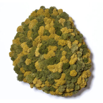 Polarmoss Island